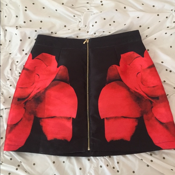 Mini Skirt - Picture 1 of 3